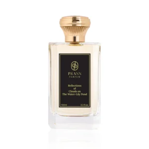 Reflections of Clouds on The Water-Lily Pond